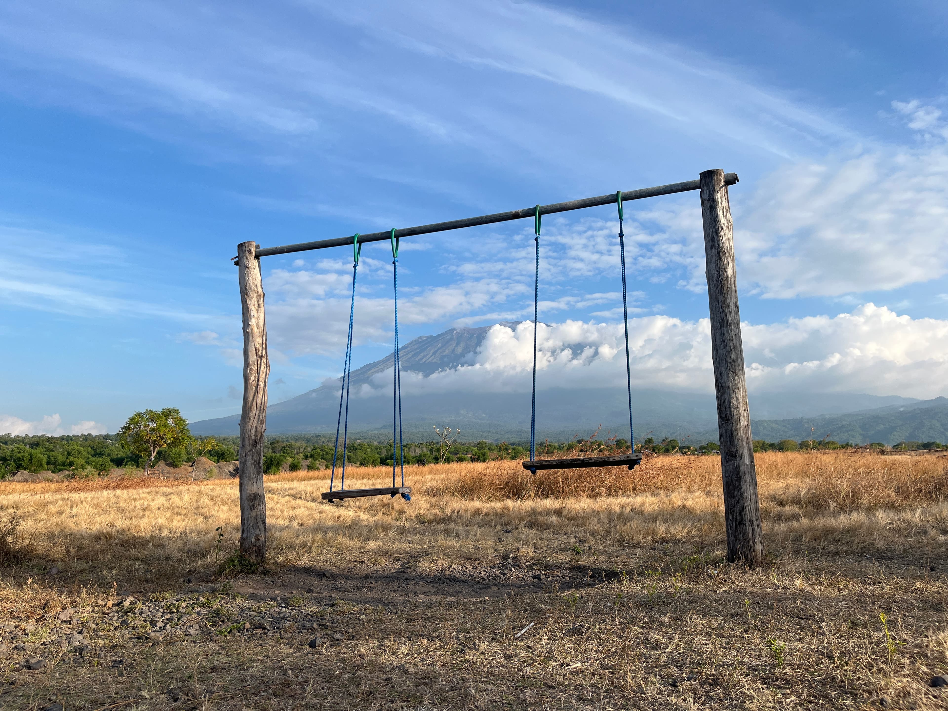 Tianyar Savanna