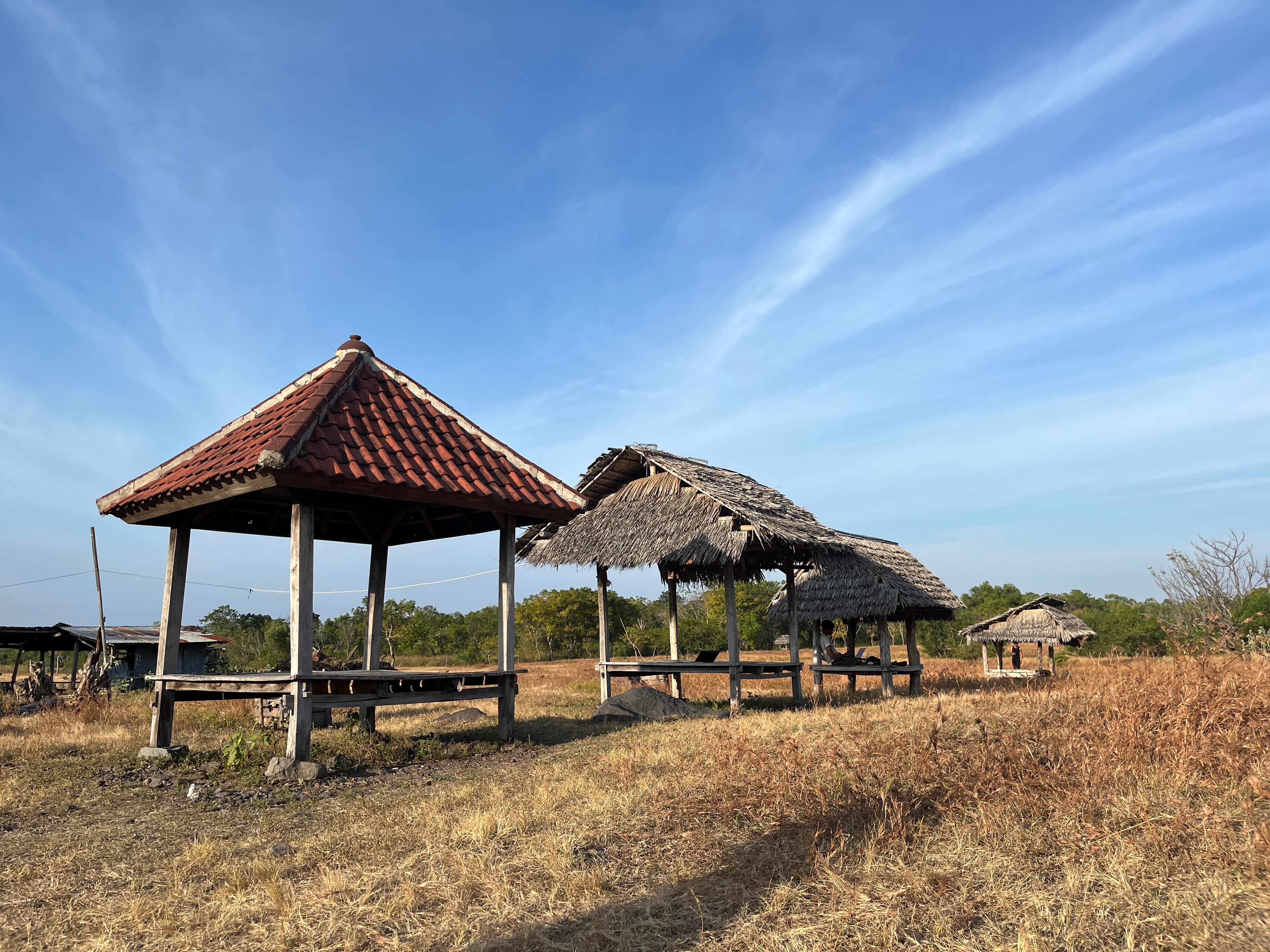 Tianyar Savanna