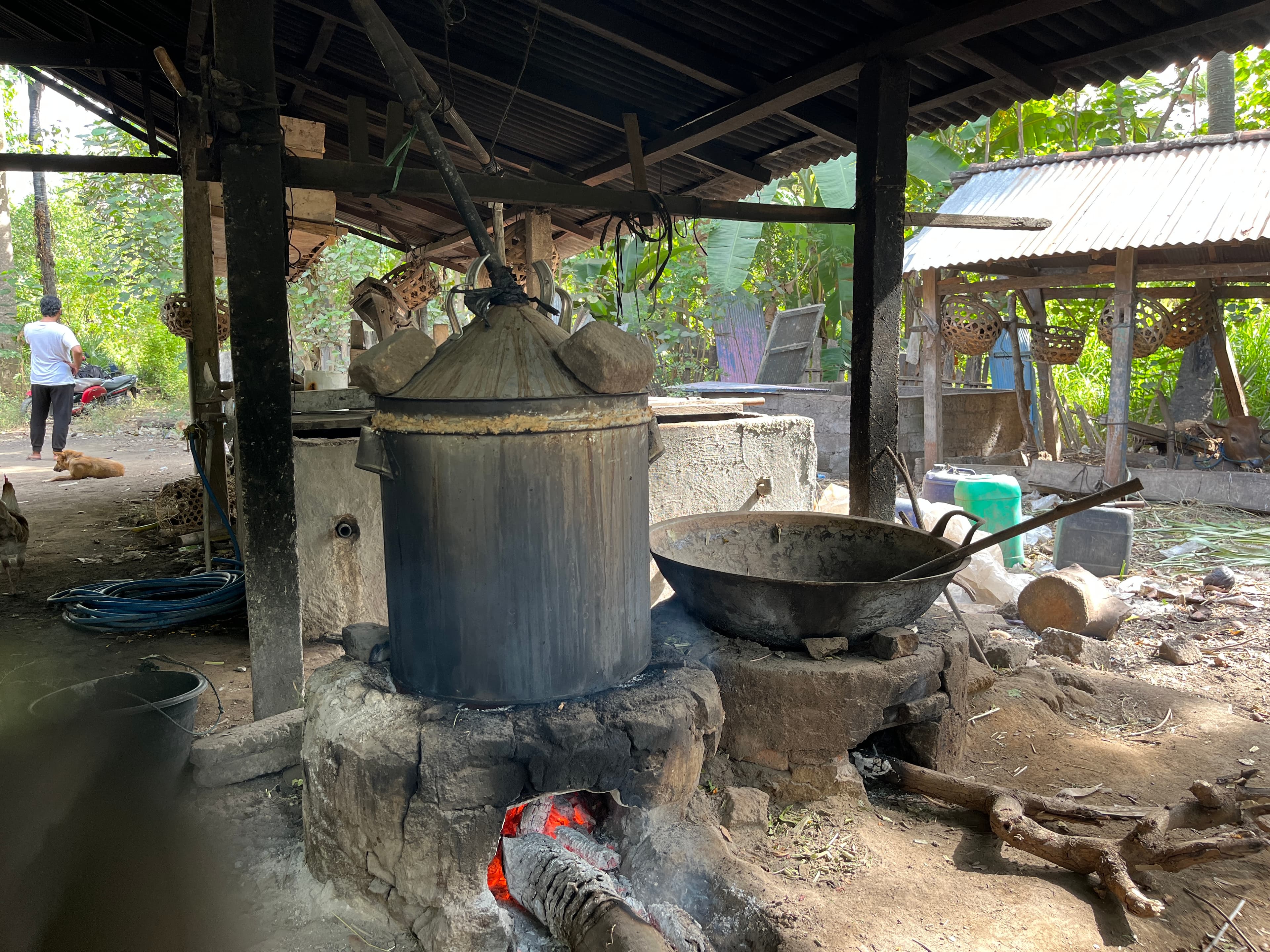 Minuman Arak Pak Made Tianyar